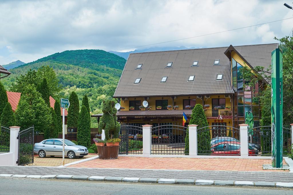 Pensiunea Alfrid Călimăneşti Exterior foto
